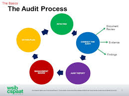 Audit Process