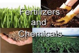 Chemical Fertilizer