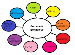 Consumer Behavior