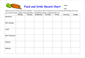 Food Intake Record